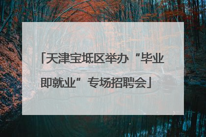 天津宝坻区举办“毕业即就业”专场招聘会