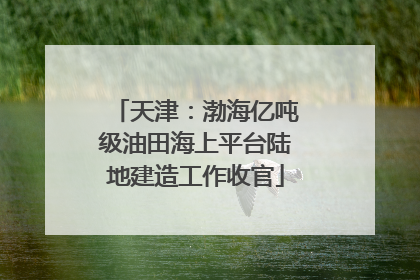 天津：渤海亿吨级油田海上平台陆地建造工作收官