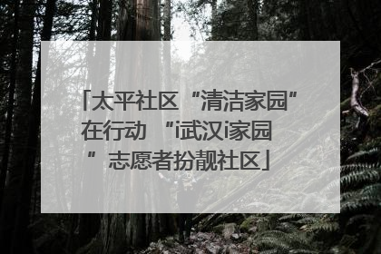太平社区“清洁家园”在行动 “i武汉i家园”志愿者扮靓社区