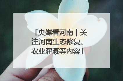央媒看河南｜关注河南生态修复、农业灌溉等内容