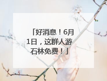 好消息！6月1日，这群人游石林免费！