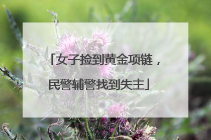 女子捡到黄金项链，民警辅警找到失主