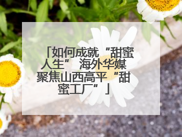 如何成就“甜蜜人生” 海外华媒聚焦山西高平“甜蜜工厂”