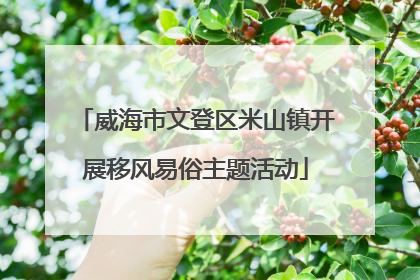 威海市文登区米山镇开展移风易俗主题活动