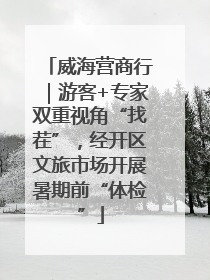 威海营商行｜游客+专家双重视角“找茬”，经开区文旅市场开展暑期前“体检”