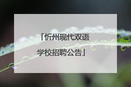 忻州现代双语学校招聘公告