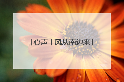心声丨风从南边来