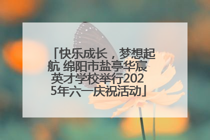 快乐成长，梦想起航 绵阳市盐亭华宸英才学校举行2025年六一庆祝活动