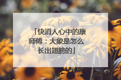 快消人心中的康师傅：大象是怎么长出翅膀的