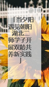 当夕阳遇见朝阳 湖北二师学子开展双龄共养新实践