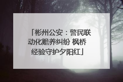 彬州公安：警民联动化赡养纠纷 枫桥经验守护夕阳红