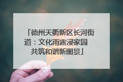 德州天衢新区长河街道：文化雨露浸家园 共筑和谐新图景