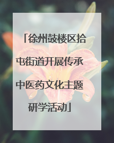 徐州鼓楼区拾屯街道开展传承中医药文化主题研学活动