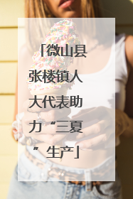 微山县张楼镇人大代表助力“三夏”生产