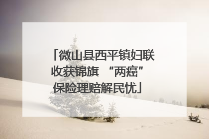微山县西平镇妇联收获锦旗 “两癌”保险理赔解民忧