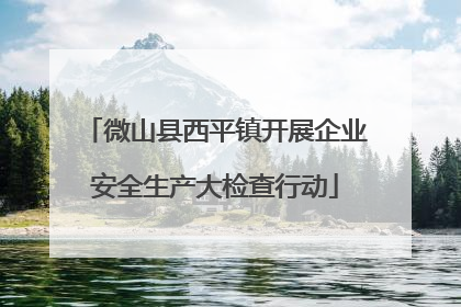 微山县西平镇开展企业安全生产大检查行动