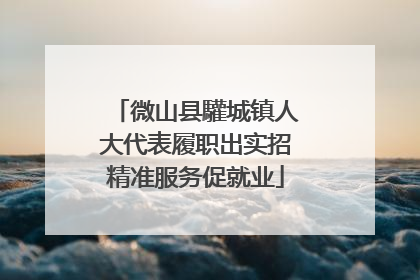 微山县驩城镇人大代表履职出实招精准服务促就业