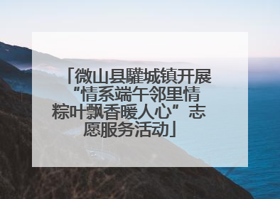 微山县驩城镇开展“情系端午邻里情 粽叶飘香暖人心”志愿服务活动