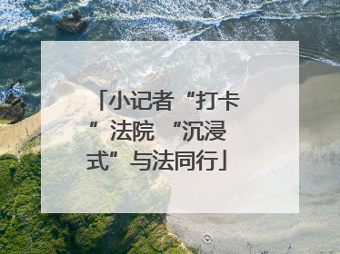 小记者“打卡”法院 “沉浸式”与法同行