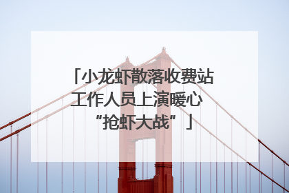 小龙虾散落收费站 工作人员上演暖心“抢虾大战”
