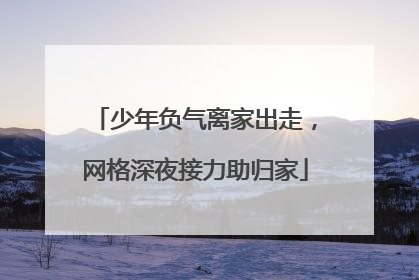 少年负气离家出走，网格深夜接力助归家