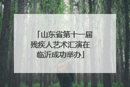 山东省第十一届残疾人艺术汇演在临沂成功举办