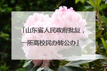 山东省人民政府批复，一所高校民办转公办