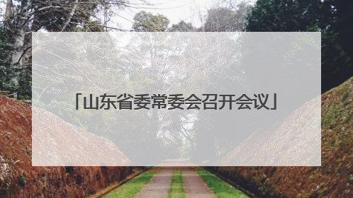 山东省委常委会召开会议