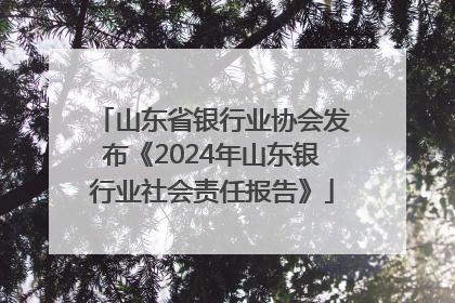山东省银行业协会发布《2024年山东银行业社会责任报告》