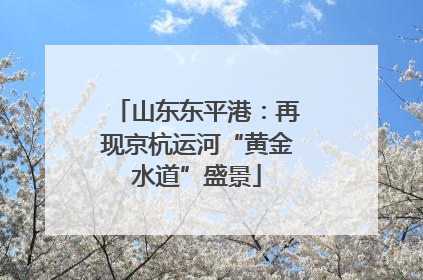 山东东平港：再现京杭运河“黄金水道”盛景