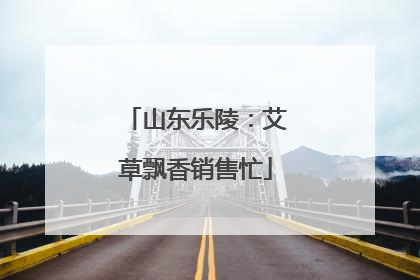 山东乐陵：艾草飘香销售忙