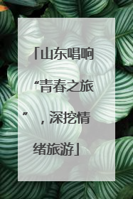 山东唱响“青春之旅”，深挖情绪旅游