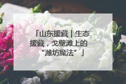 山东援藏｜生态援藏，戈壁滩上的“潍坊魔法”