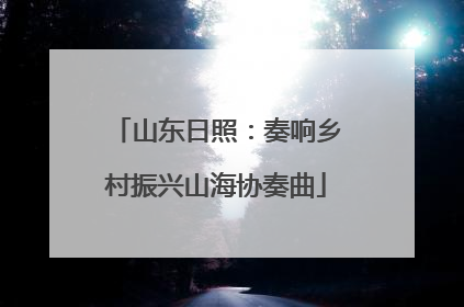 山东日照：奏响乡村振兴山海协奏曲