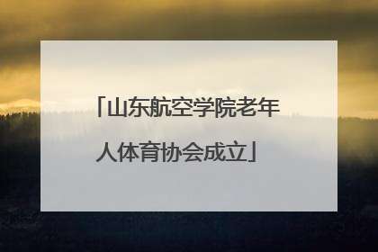 山东航空学院老年人体育协会成立