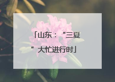 山东：“三夏”大忙进行时