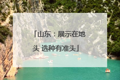 山东：展示在地头 选种有准头