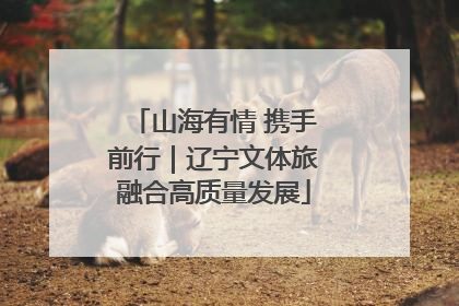 山海有情 携手前行｜辽宁文体旅融合高质量发展