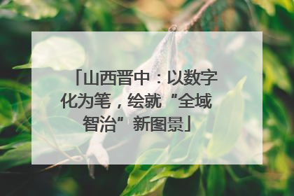 山西晋中：以数字化为笔，绘就“全域智治”新图景