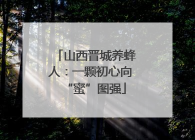 山西晋城养蜂人：一颗初心向“蜜”图强
