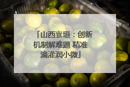山西襄垣：创新机制解难题 精准滴灌润小微