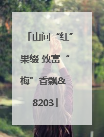 山间“红”果缀 致富“梅”香飘& 8203
