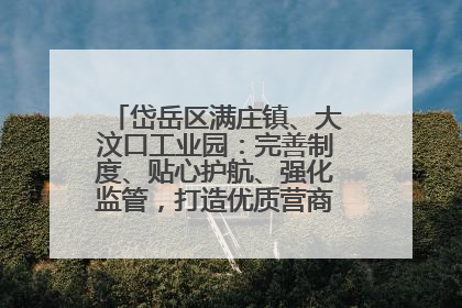 岱岳区满庄镇、大汶口工业园：完善制度、贴心护航、强化监管，打造优质营商“强磁场”