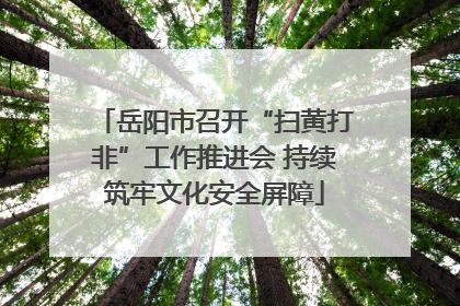 岳阳市召开“扫黄打非”工作推进会 持续筑牢文化安全屏障