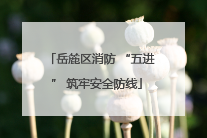 岳麓区消防 “五进” 筑牢安全防线