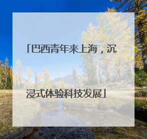 巴西青年来上海，沉浸式体验科技发展