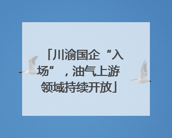 川渝国企“入场”，油气上游领域持续开放