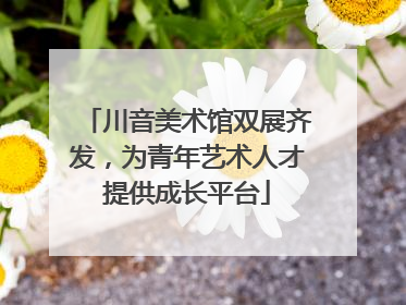 川音美术馆双展齐发，为青年艺术人才提供成长平台
