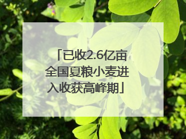 已收2.6亿亩 全国夏粮小麦进入收获高峰期