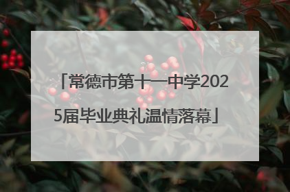 常德市第十一中学2025届毕业典礼温情落幕